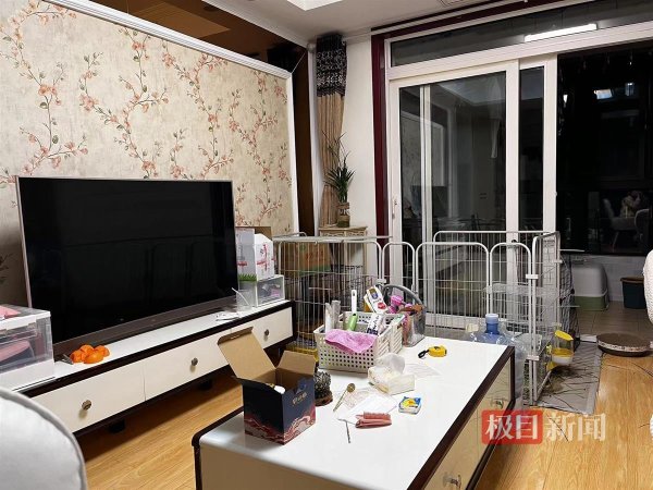 珺牛策略 住不进校内的专硕生：有人一年房租是学费的三倍