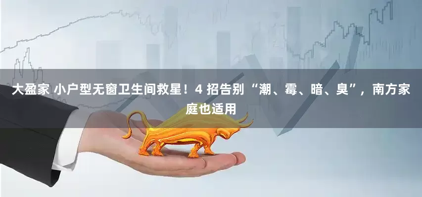 大盈家 小户型无窗卫生间救星！4 招告别 “潮、霉、暗、臭”，南方家庭也适用